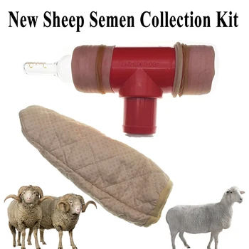 1 КОМПЛЕКТ Нов Дизайн, създаден За Събиране на Сперма Овце, Устройство За Изкуствено Осеменяване на Мъжки, Устройство За Събиране на Сперма, Стъклена Вътрешна Тръба, Самозалепваща на Кутията
